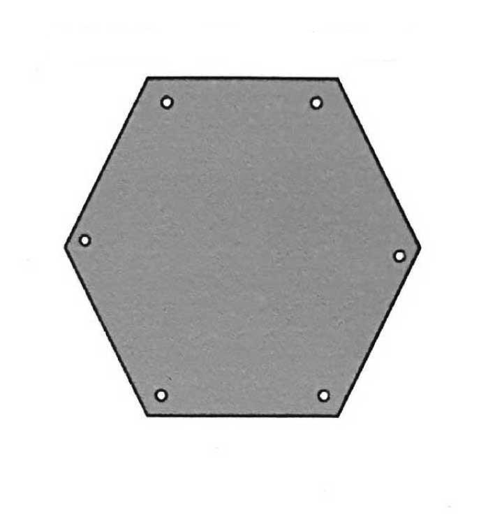 Bersaglio esagonale da 25 cm per lato