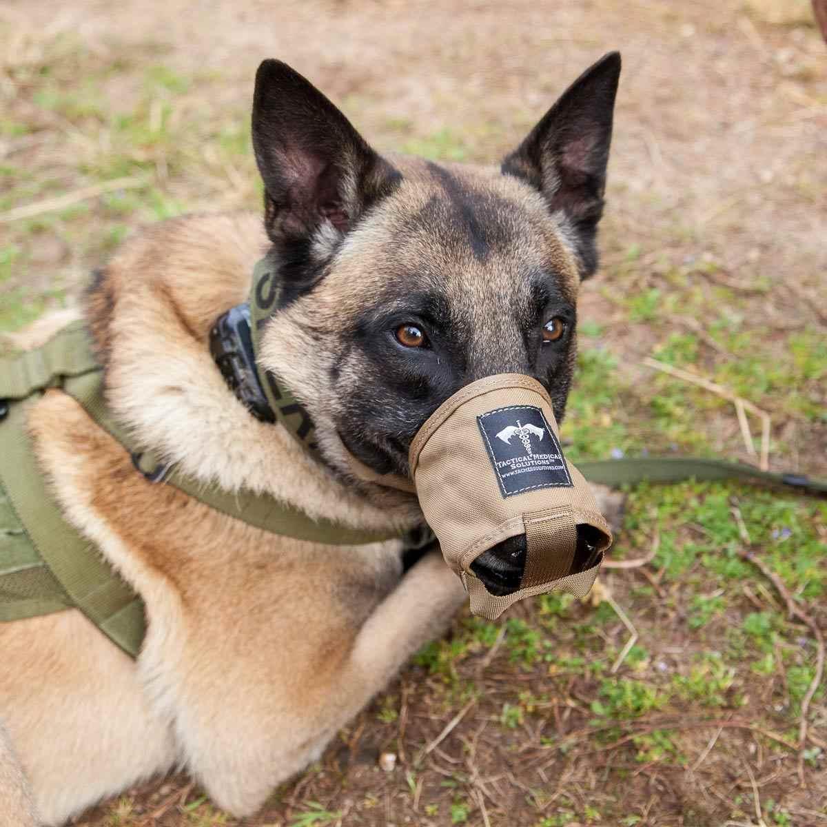 K9 Muzzle - La museruola per cani