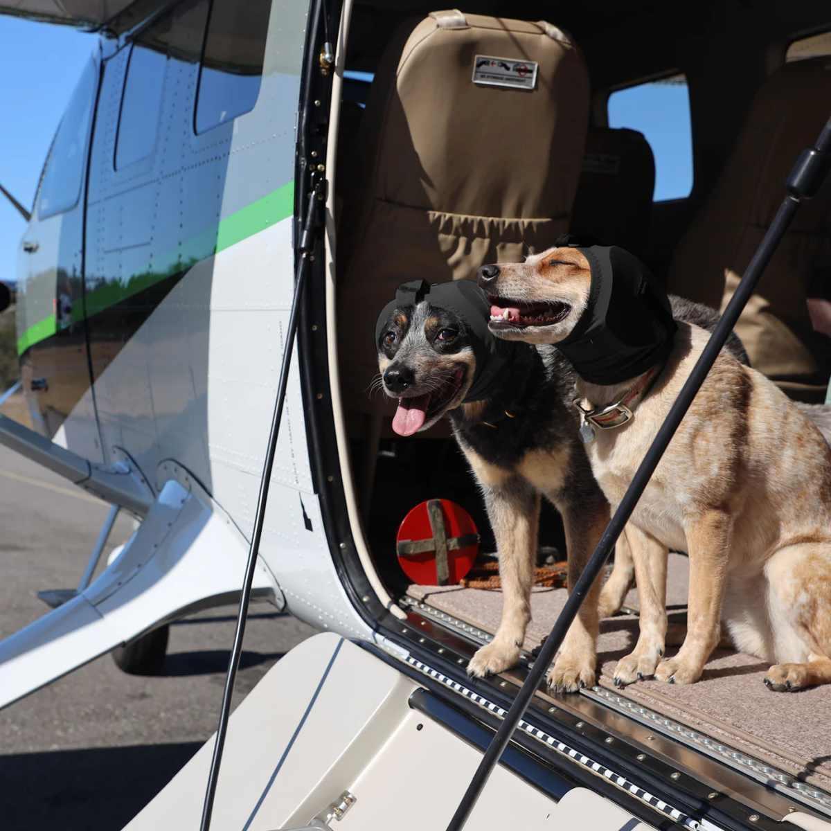 Cuffie protettive K9