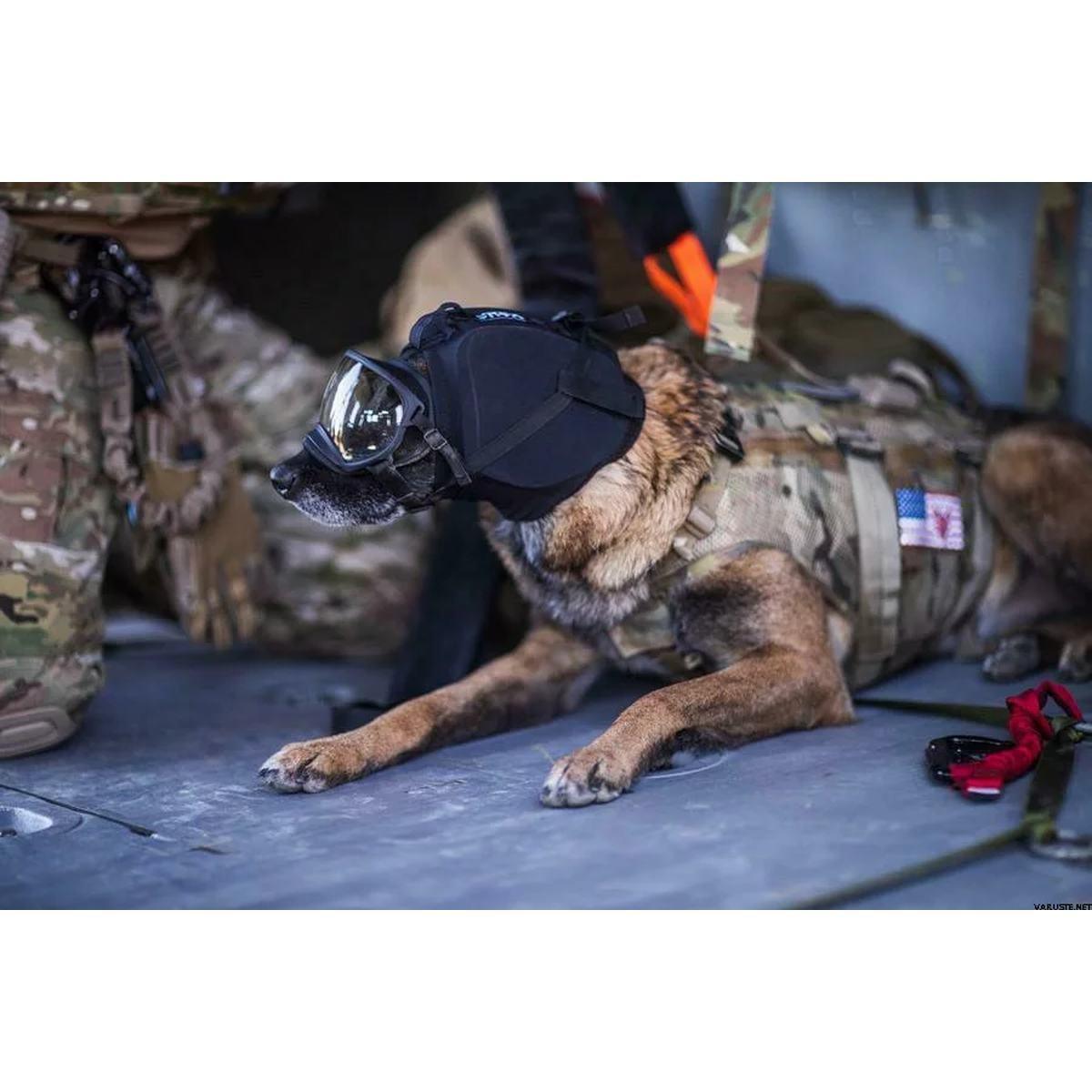 Cuffie protettive K9