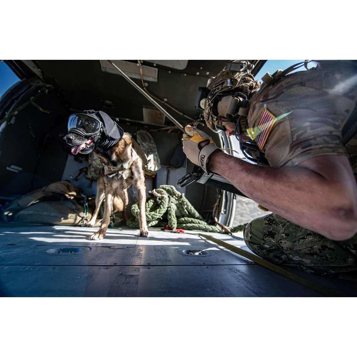 Cuffie protettive K9