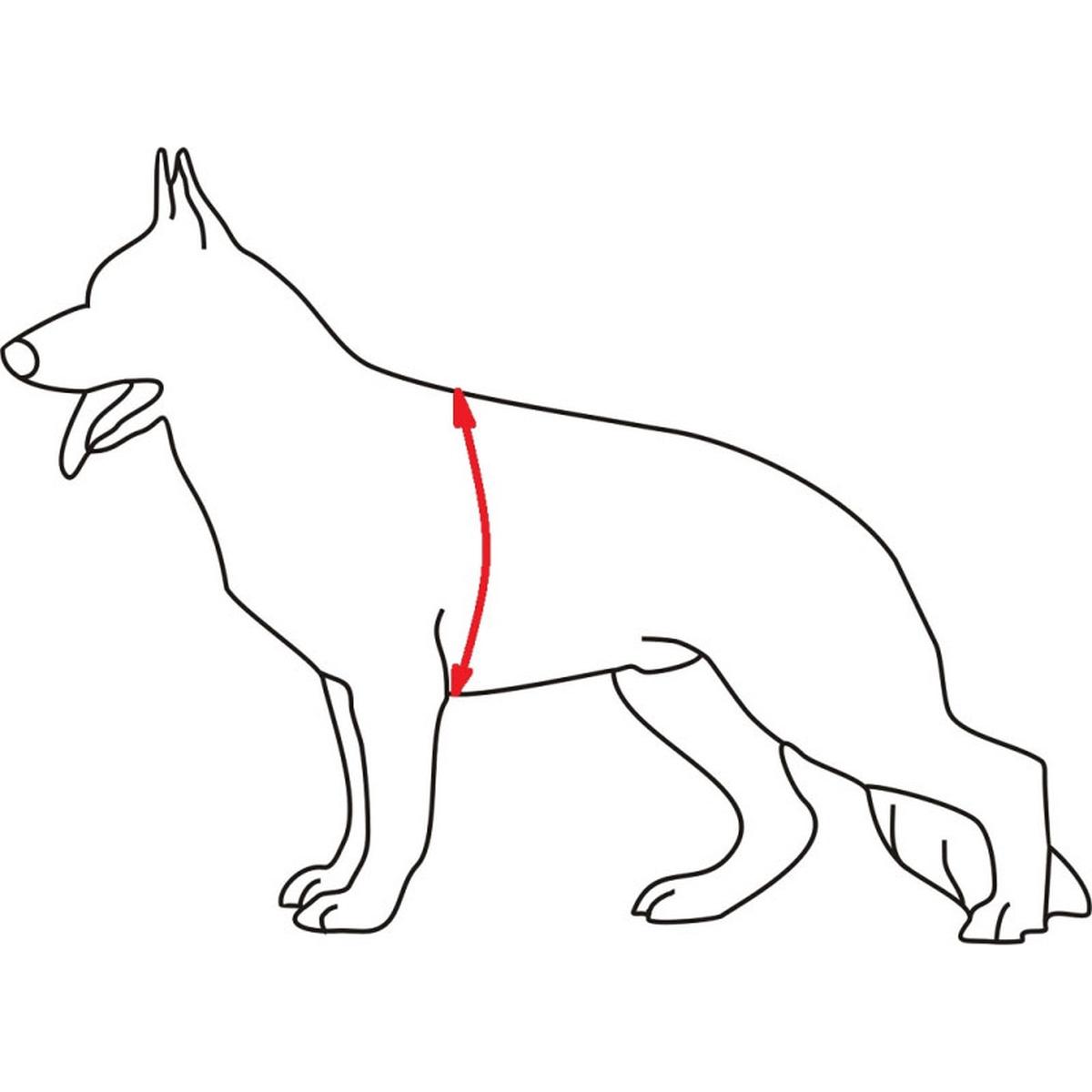 Imbracatura tattica su rete - Cordura